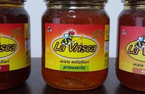 SERRADIFALCO, LA VRISCA: L’AZIENDA LEADER NELLA PRODUZIONE DEL MIELE E DELL’APICOLTURA