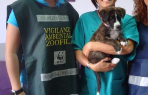 CONTROLLI DELLE GUARDIE ZOOFILE WWF IN PROVINCIA DI CALTANISSETTA: ELEVATE SANZIONI guardie