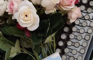 IN PRIMO PIANO “FRUMENTO E PAPAVERI” DI ANTONIA STORACE papaveri