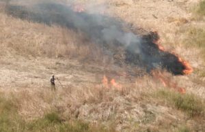 GUARDIE WWF SCOPRONO E FILMANO UN INCENDIARIO MENTRE APPICCA IL FUOCO NELLE CAMPAGNE DI SUTERA guardie