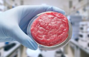 Carne sintetica: una soluzione sostenibile per l’industria alimentare carne sintetica