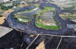 LAGO SOPRANO DI SERRADIFALCO, IL WWF: CI VUOLE UN’INDAGINE PER DISASTRO AMBIENTALE lago soprano