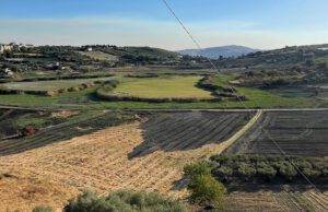FUMI NEL LAGO SOPRANO DI SERRADIFALCO, DANIELE TERRITO ALL’EX PROVINCIA: CI VUOLE UN SOPRALLUOGO fumi