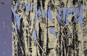 CIMINNA, DA OGGI AL 12 MAGGIO LA MOSTRA “I CROMATISMI SOTTILI” DI GIORGIO PULEO Giorgio Puleo