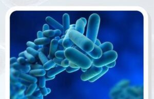 CALTANISSETTA, CONGRESSO SU “LA VISIONE ONE HEALTH DELLA LEGIONELLOSI”