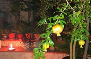 CONVERSAZIONI IN GIARDINO A TERMINI IMERESE TRA ESOTERISMO E PARANORMALE paranormale