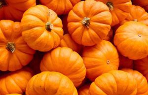 A SAN CATALDO LA SAGRA DELLA ZUCCA Sagra della Zucca
