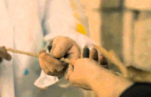 A ROMA “IL MIO CANTO LIBERO”: L’ARTE CHE ISPIRA L’UNIVERSITÀ Università