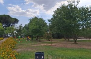 PARCO DUBINI, IL SINDACO TESAURO SCRIVE ALL’ASP DI CALTANISSETTA Parco Dubini