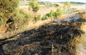 SERRADIFALCO, GUARDIE AMBIENTALI DEL WWF BLOCCANO UN INCENDIO Wwf