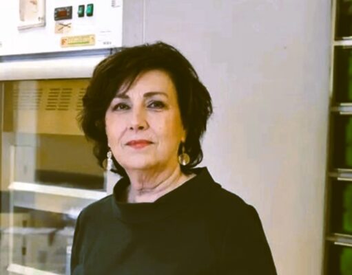 SERRADIFALCO. DANIELA FARAONI PRESIDENTE DI INFRATEL ITALIA: NOMINA CHE PESA COME UN MINISTERO Daniela Faraoni