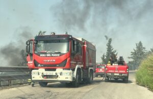 INCENDI, IL WWF: AZIONI LEGALI VERSO I SINDACI wwf