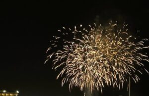 WWF SICILIA CENTRALE: BASTA FUOCHI D’ARTIFICIO PER LE FESTE NEL NISSENO wwf