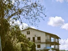SAN CATALDO, DOMANI S’INAUGURA IL NUOVO MICRO-CANILE COMUNALE E L’OASI FELINA san cataldo