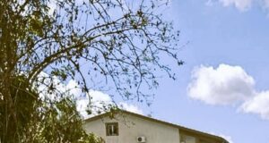 SAN CATALDO, DOMANI S’INAUGURA IL NUOVO MICRO-CANILE COMUNALE E L’OASI FELINA san cataldo