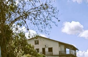 SAN CATALDO, DOMANI S’INAUGURA IL NUOVO MICRO-CANILE COMUNALE E L’OASI FELINA san cataldo