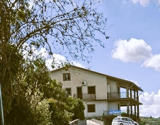 SAN CATALDO, DOMANI S’INAUGURA IL NUOVO MICRO-CANILE COMUNALE E L’OASI FELINA san cataldo