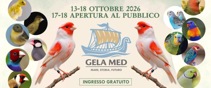 COPERTINA (12-10-2026) Gela gela