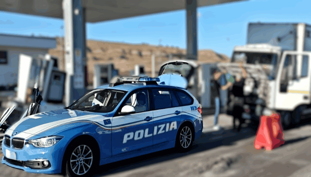 CALTANISSETTA. LICENZA PER «FIORI E PIANTE», MA SUL CAMION C’ERANO 4 CAVALLI: MEZZO SEQUESTRATO cavalli