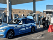 CALTANISSETTA. LICENZA PER «FIORI E PIANTE», MA SUL CAMION C’ERANO 4 CAVALLI: MEZZO SEQUESTRATO cavalli