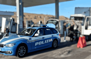 CALTANISSETTA. LICENZA PER «FIORI E PIANTE», MA SUL CAMION C’ERANO 4 CAVALLI: MEZZO SEQUESTRATO cavalli