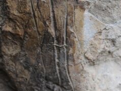 TERMINI IMERESE, DOMANI VISITA GUIDATA AI RIPARI PREISTORICI CON ARTE RUPESTRE visita